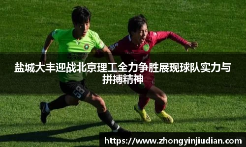 k1体育
